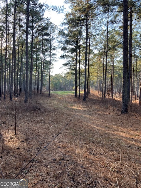 310 Philomath Woodville Road Rayle GA 30660