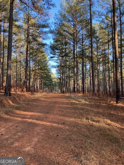 310 Philomath Woodville Road Rayle GA 30660