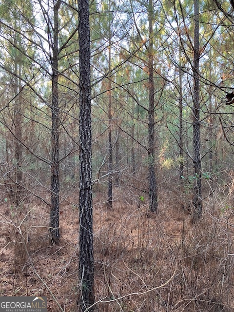 310 Philomath Woodville Road Rayle GA 30660