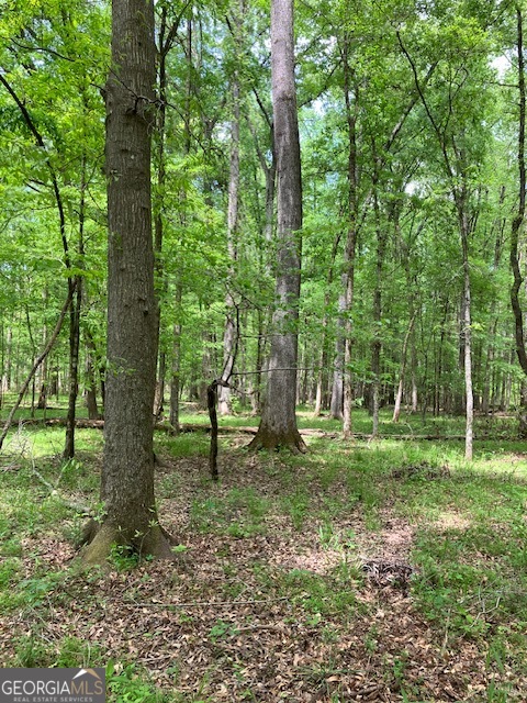 310 Philomath Woodville Road Rayle GA 30660