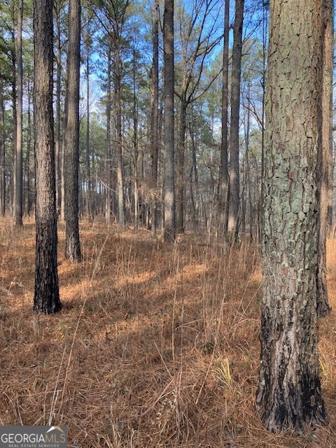 310 Philomath Woodville Road Rayle GA 30660