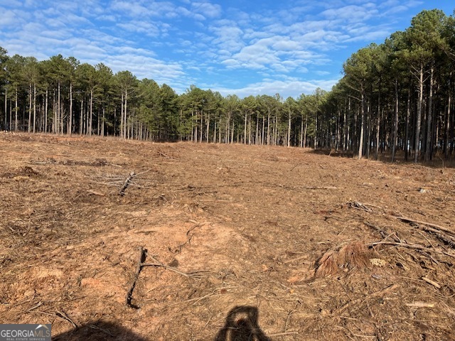 310 Philomath Woodville Road Rayle GA 30660