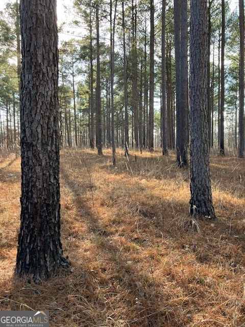 310 Philomath Woodville Road Rayle GA 30660