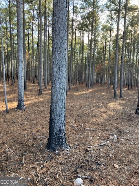 310 Philomath Woodville Road Rayle GA 30660