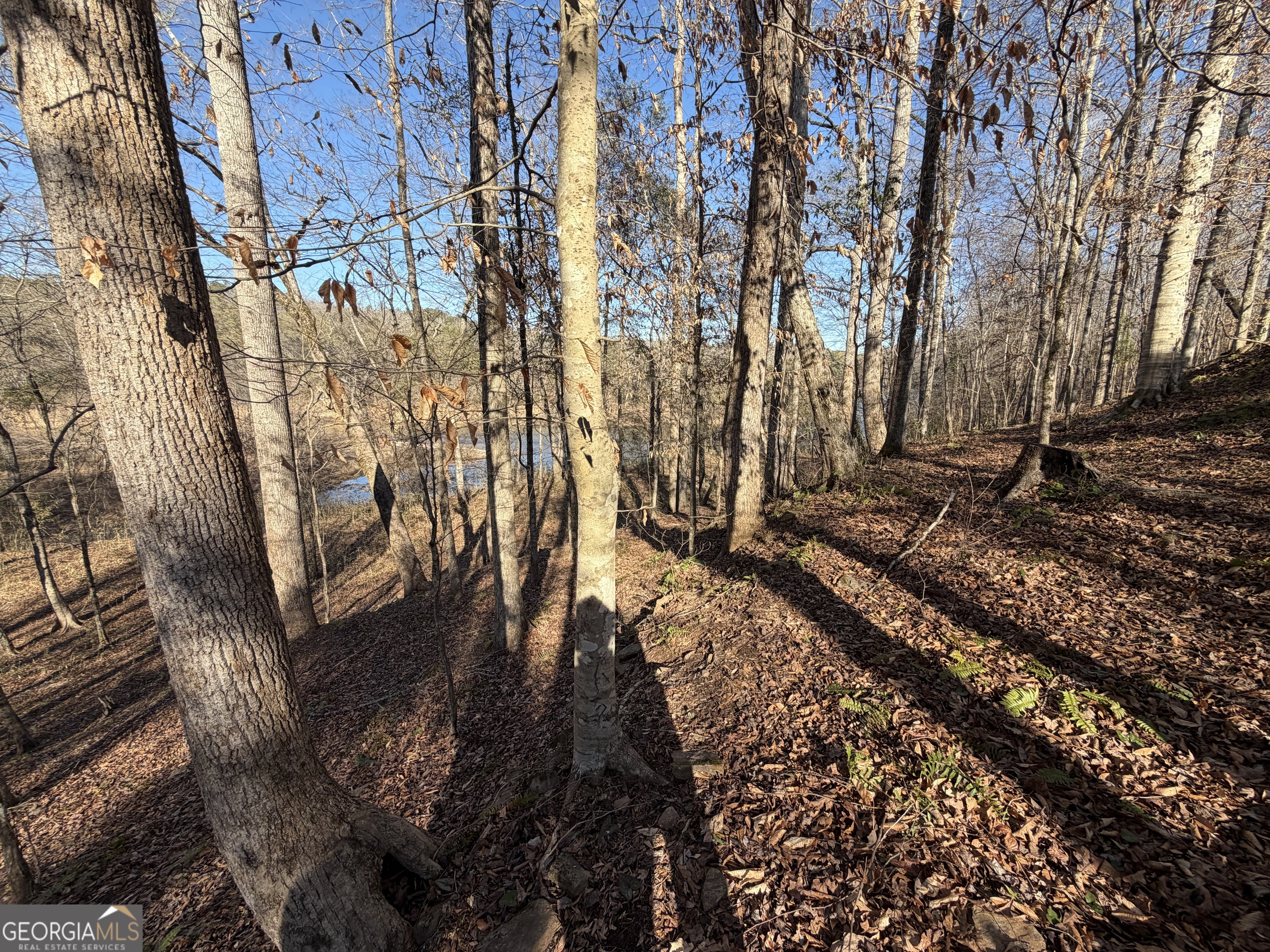 0 Highway 36 Woodland GA 31836