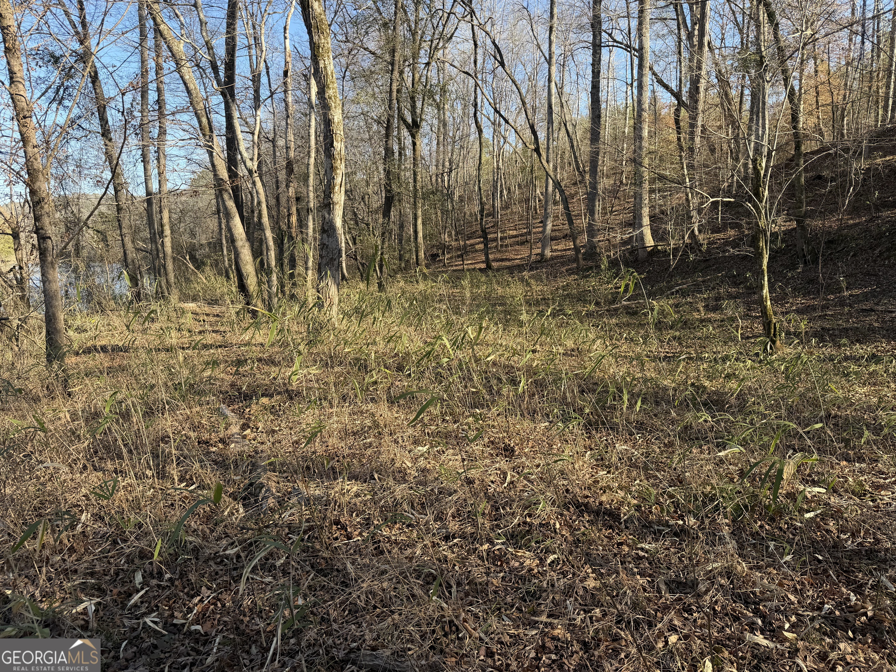 0 Highway 36 Woodland GA 31836