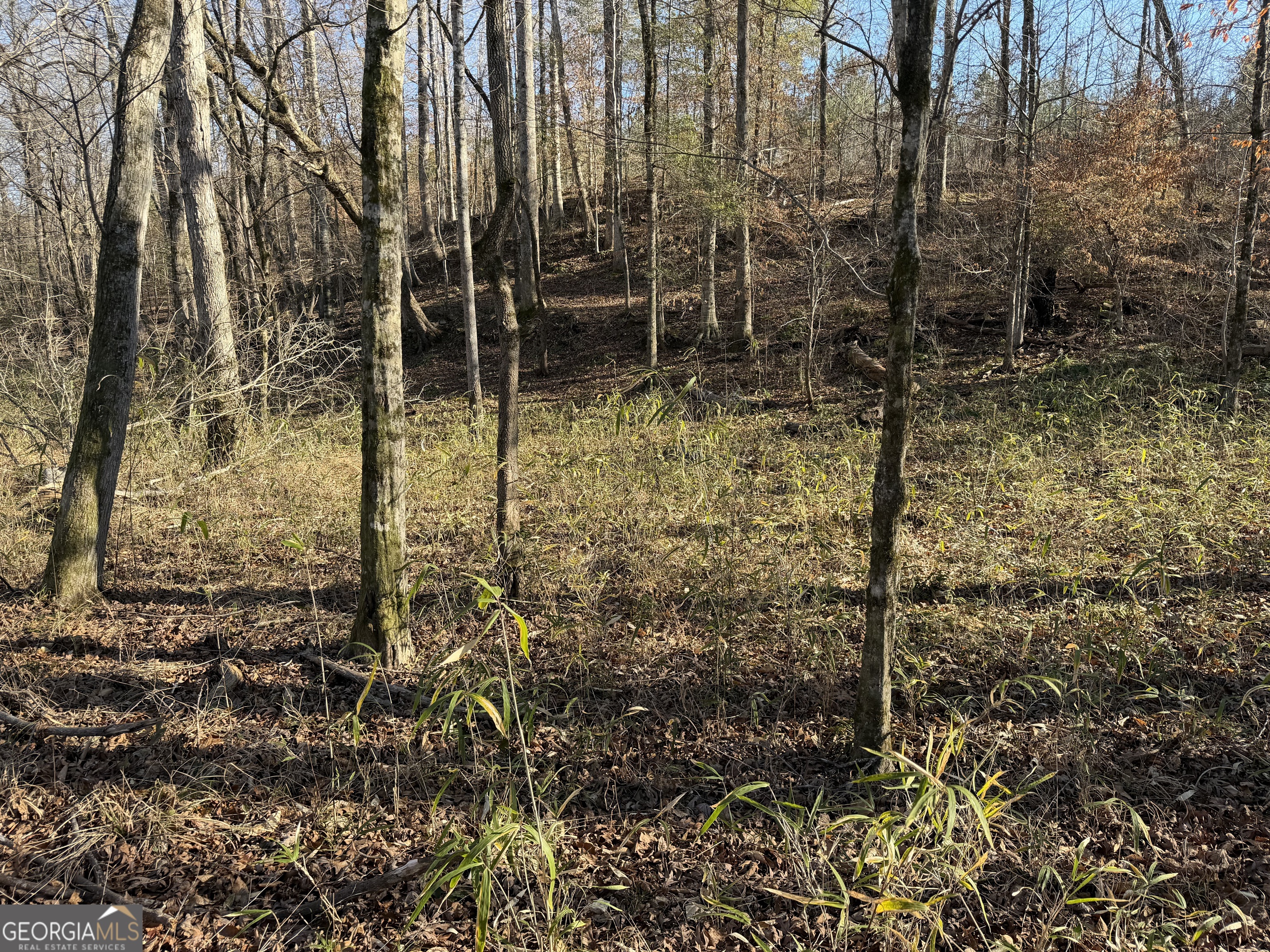 0 Highway 36 Woodland GA 31836