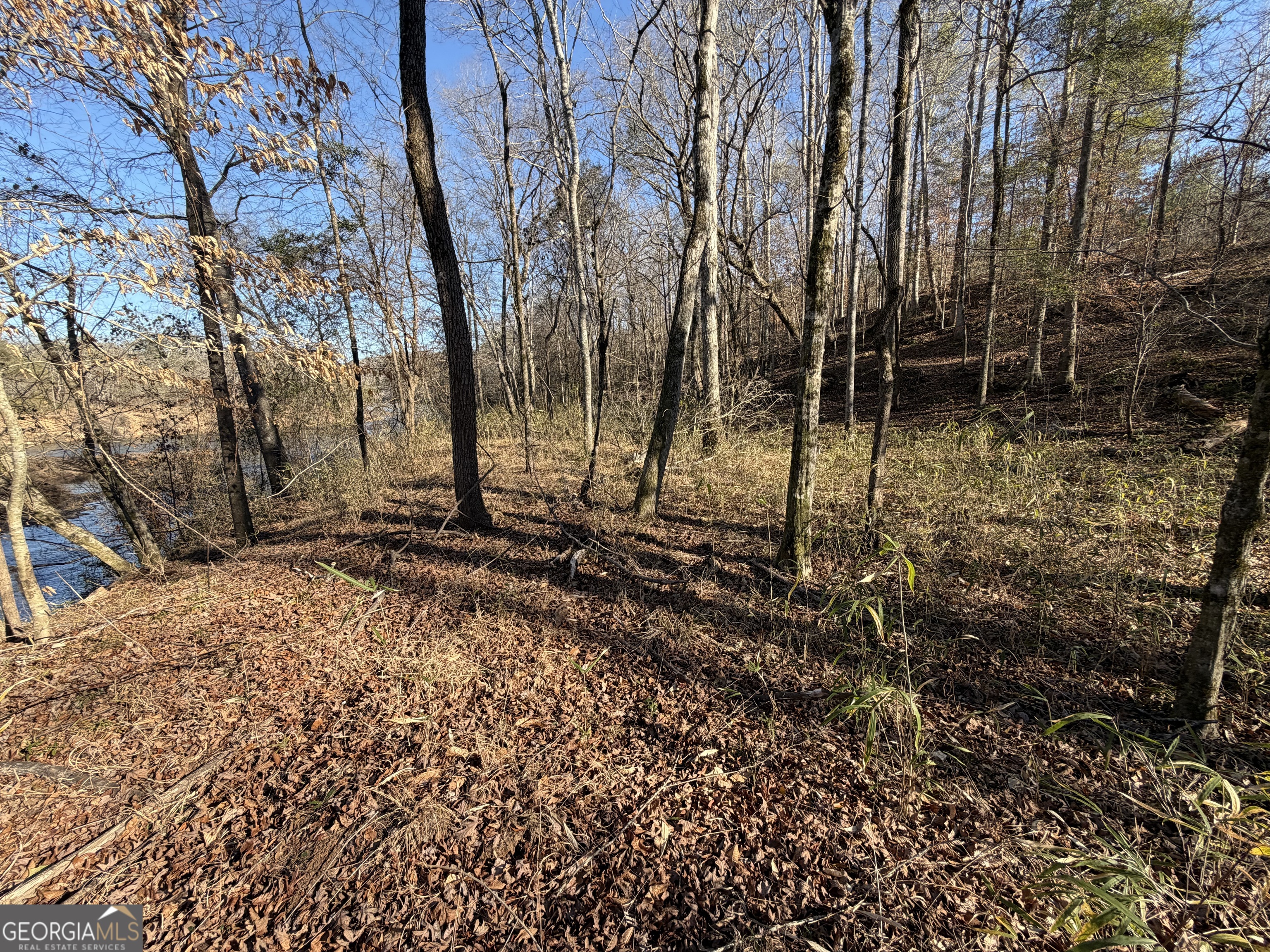 0 Highway 36 Woodland GA 31836