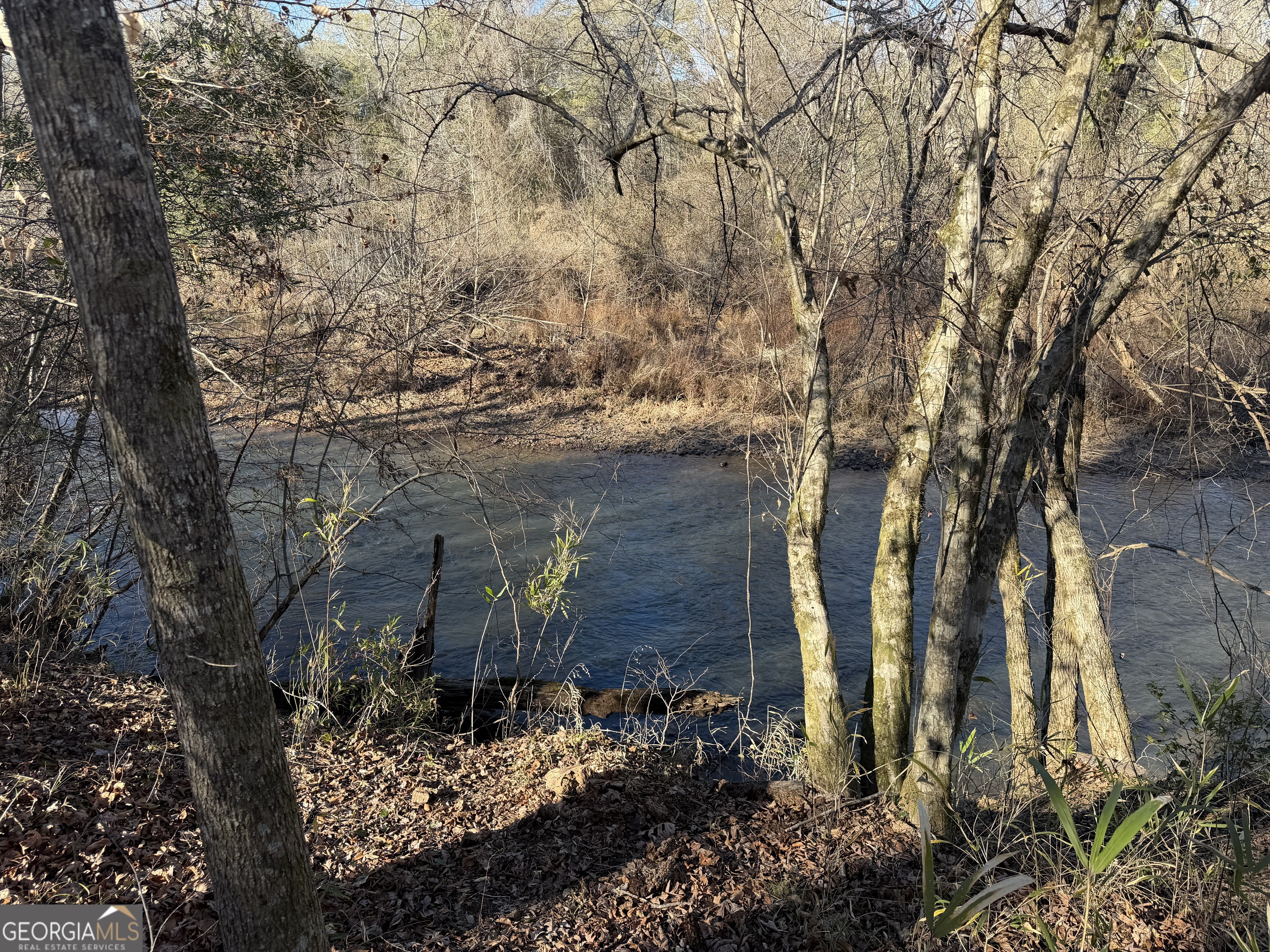 0 Highway 36 Woodland GA 31836