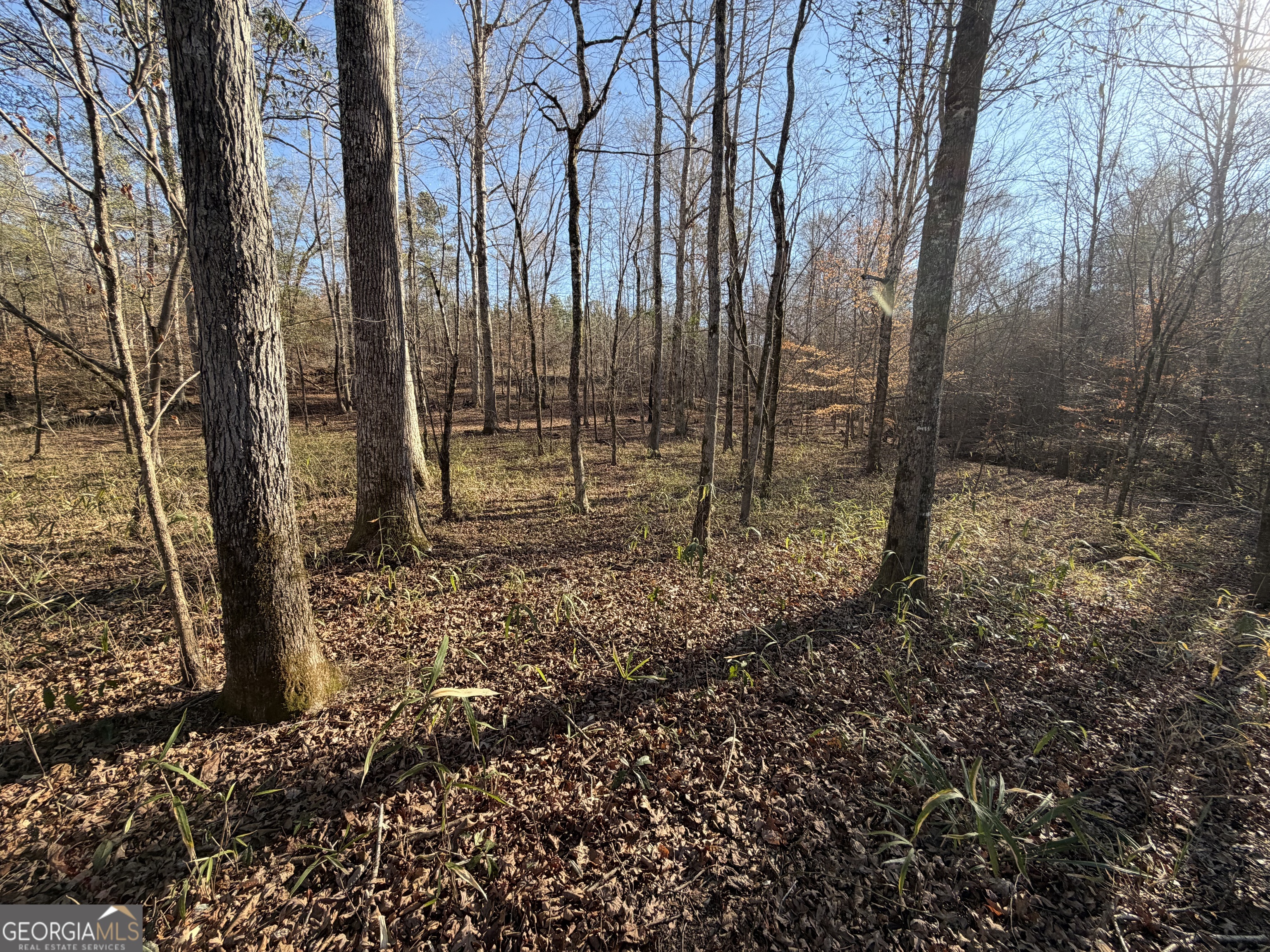 0 Highway 36 Woodland GA 31836
