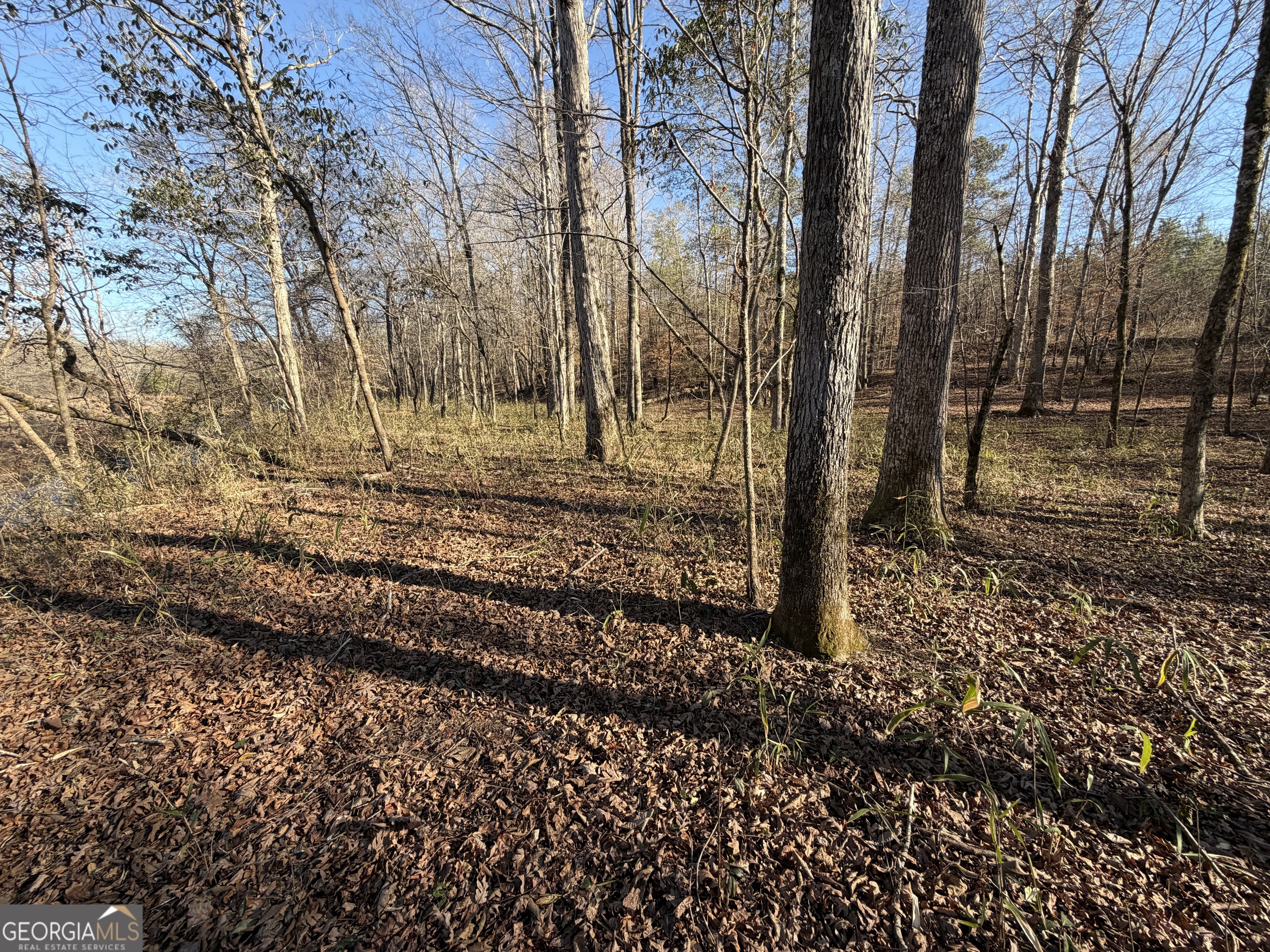 0 Highway 36 Woodland GA 31836