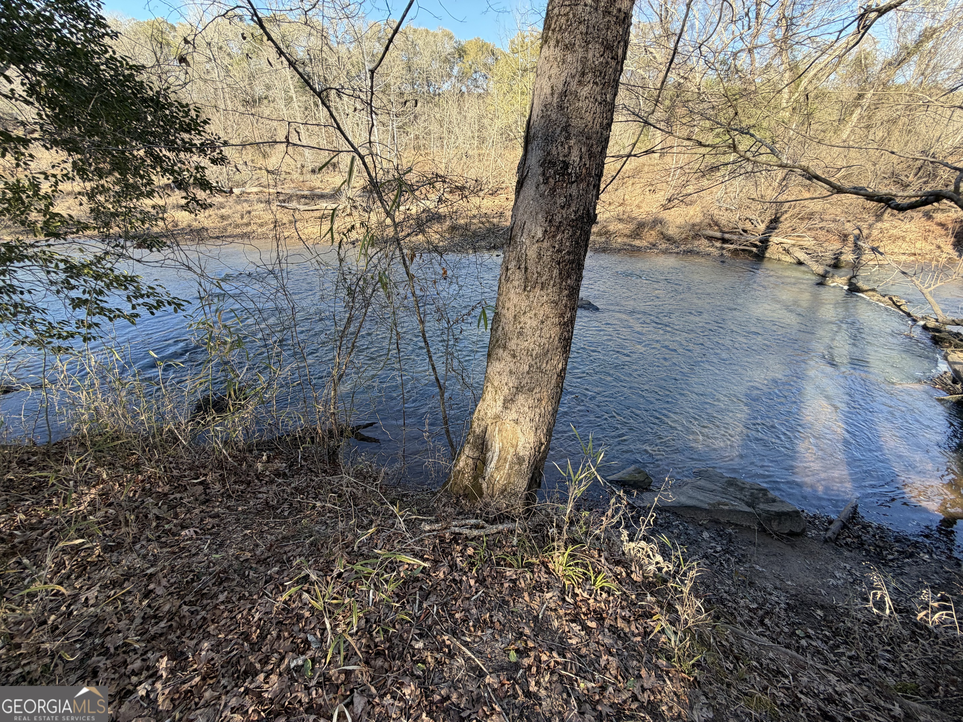 0 Highway 36 Woodland GA 31836