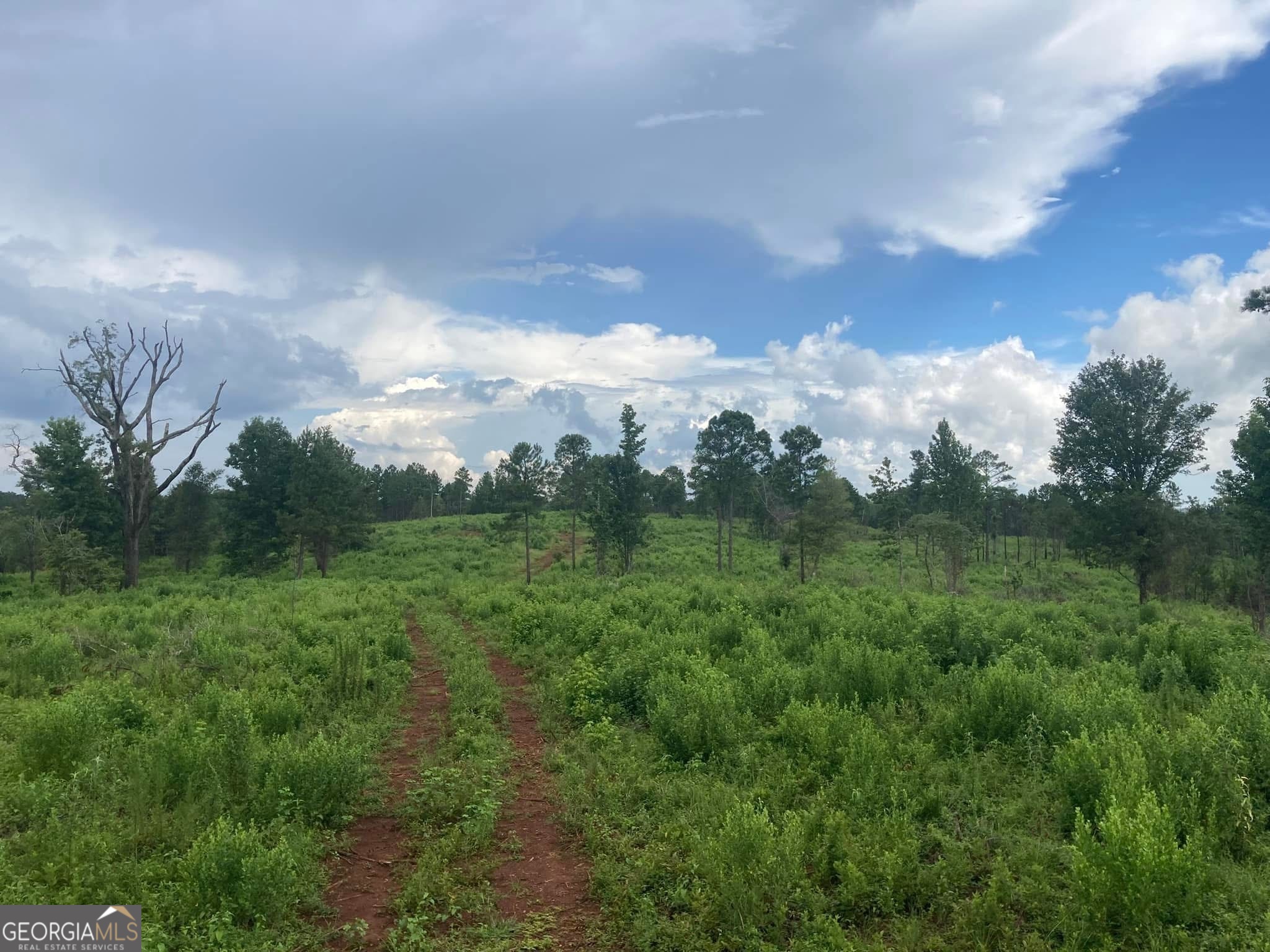 0 Highway 36 Woodland GA 31836