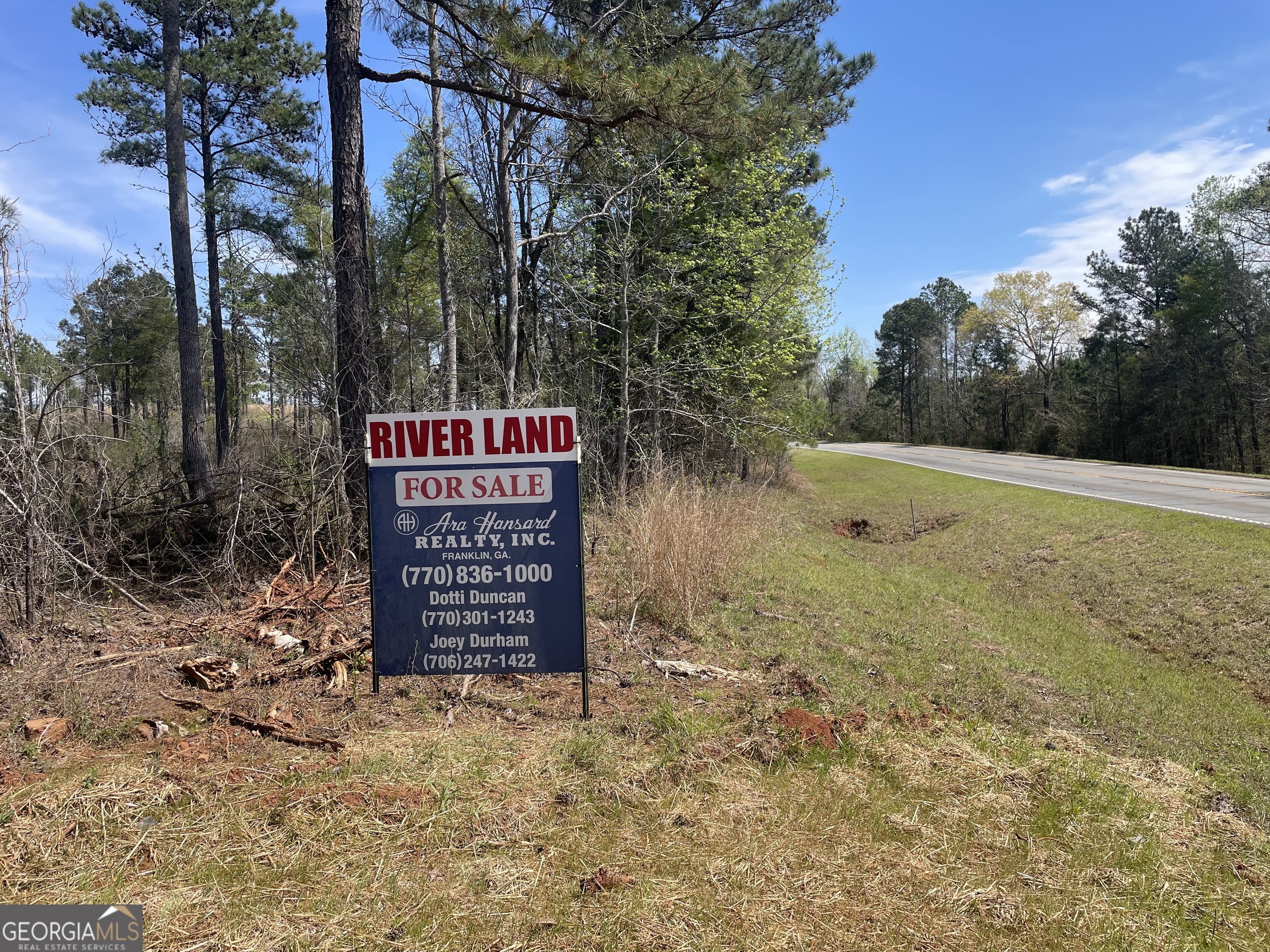 0 Highway 36 Woodland GA 31836