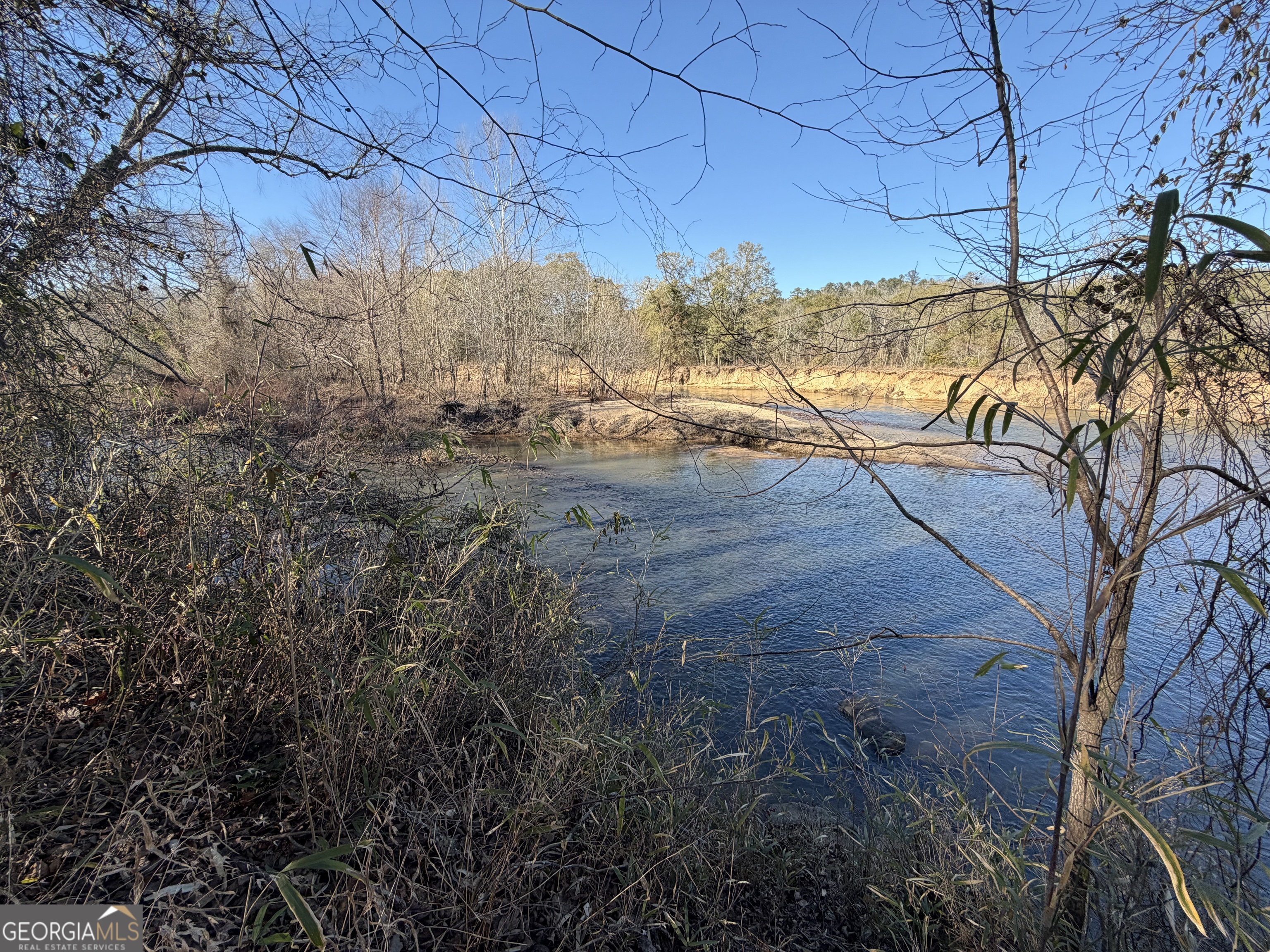0 Highway 36 Woodland GA 31836