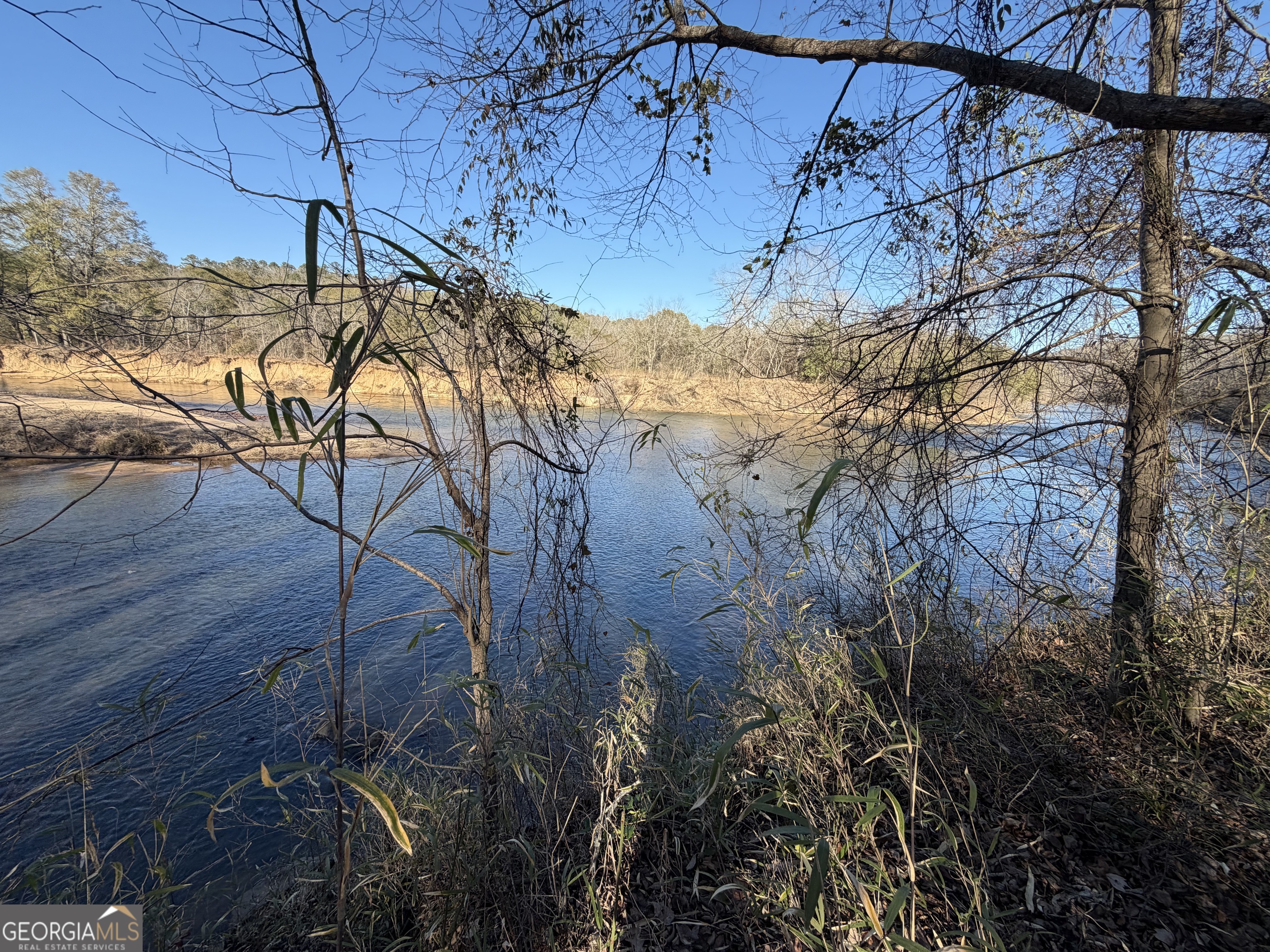 0 Highway 36 Woodland GA 31836
