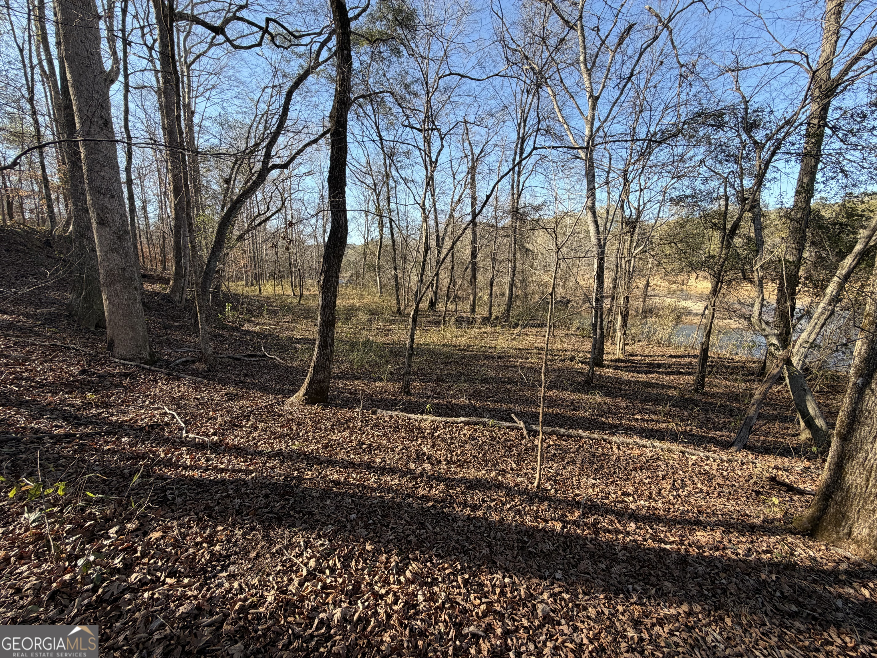 0 Highway 36 Woodland GA 31836