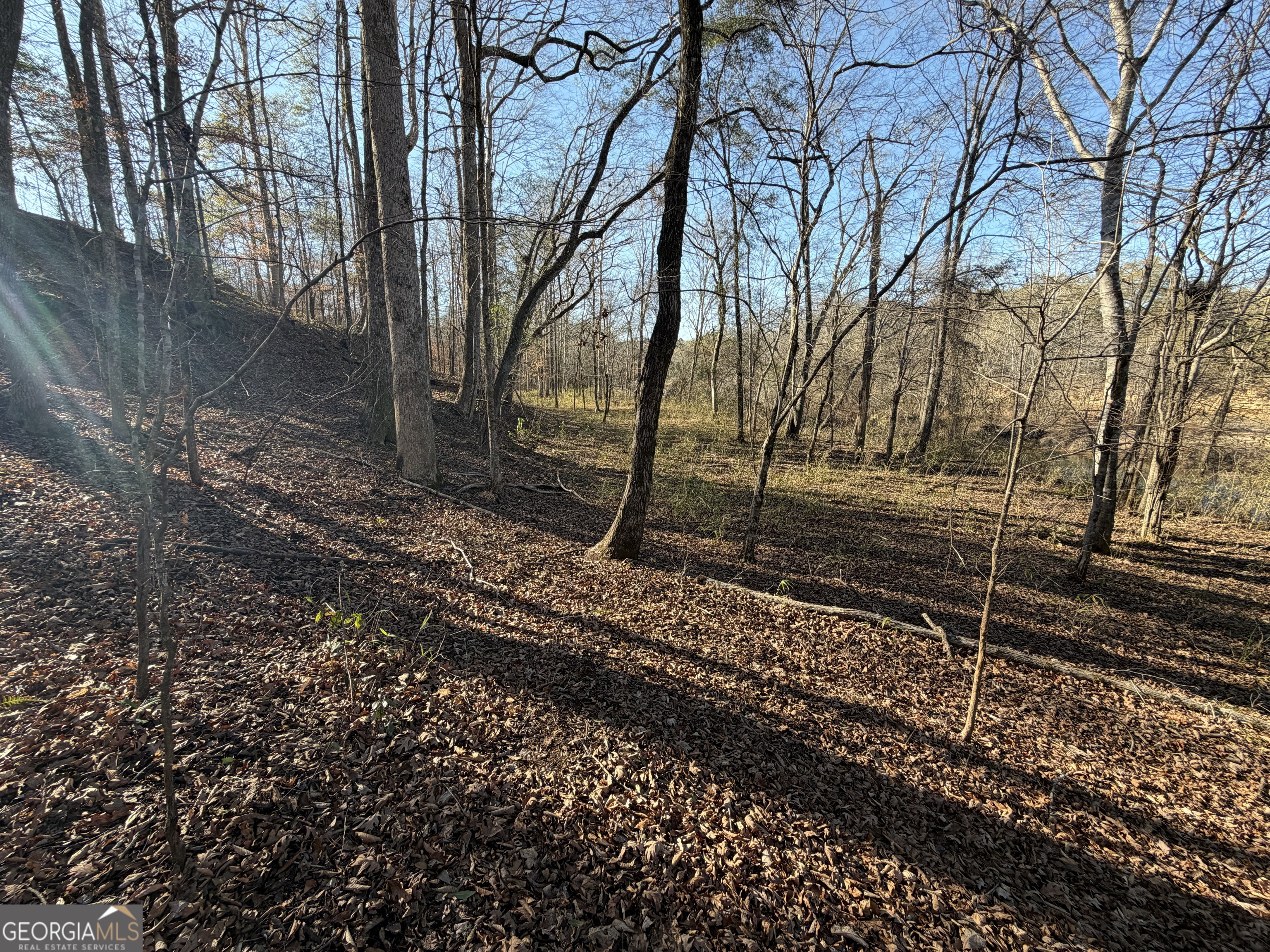 0 Highway 36 Woodland GA 31836