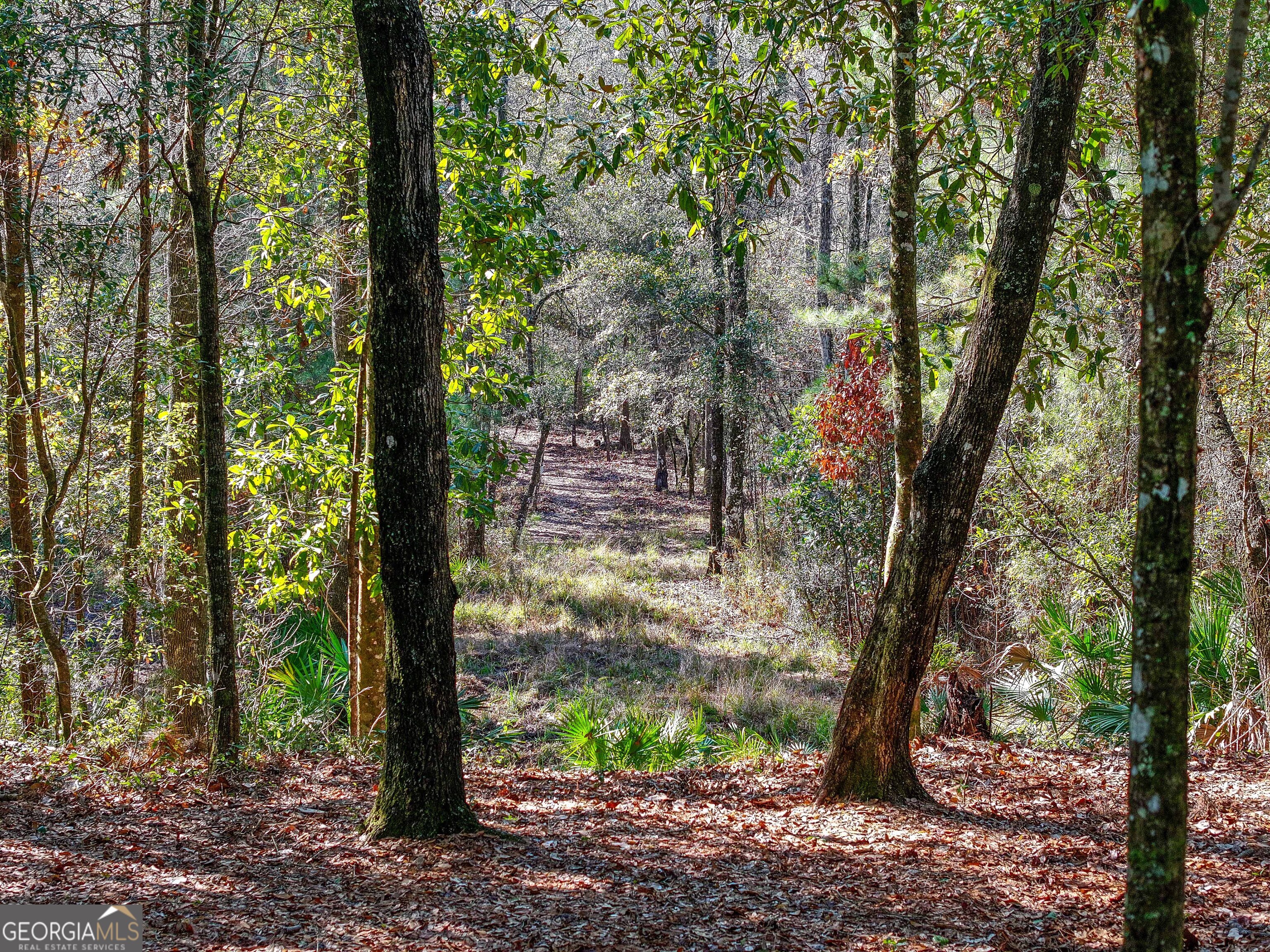 279 Mid River Road White Oak GA 31568