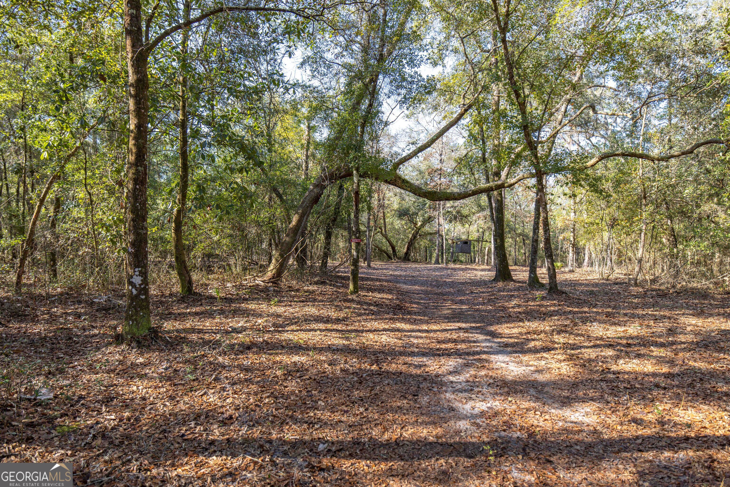 279 Mid River Road White Oak GA 31568
