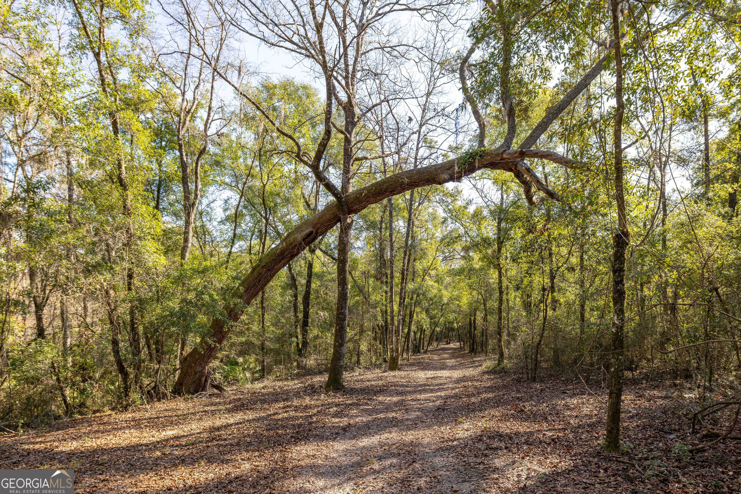 279 Mid River Road White Oak GA 31568