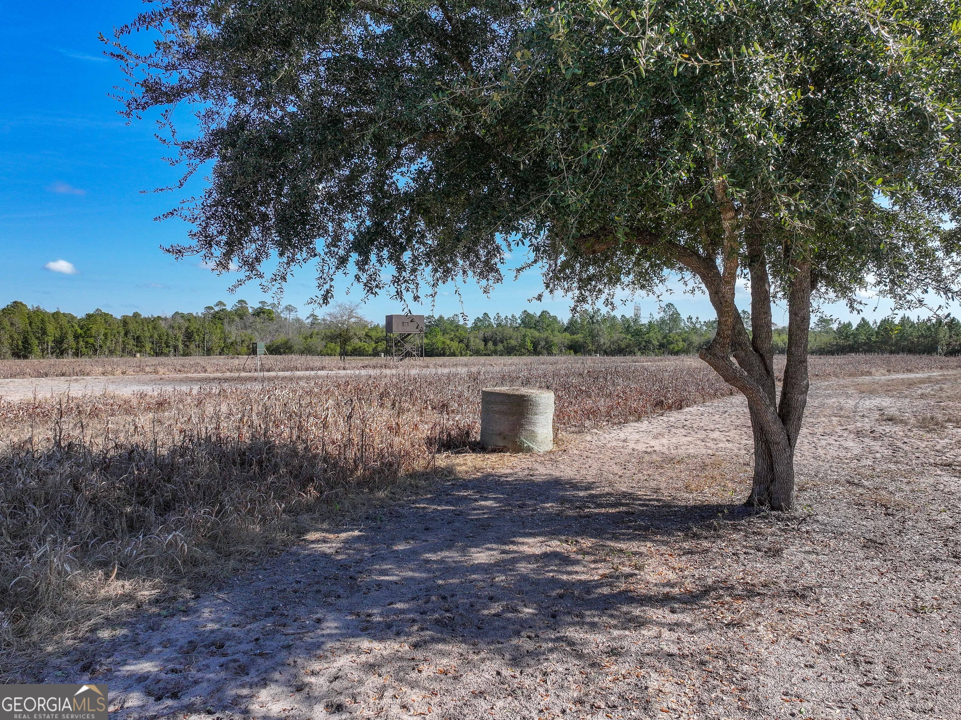 279 Mid River Road White Oak GA 31568
