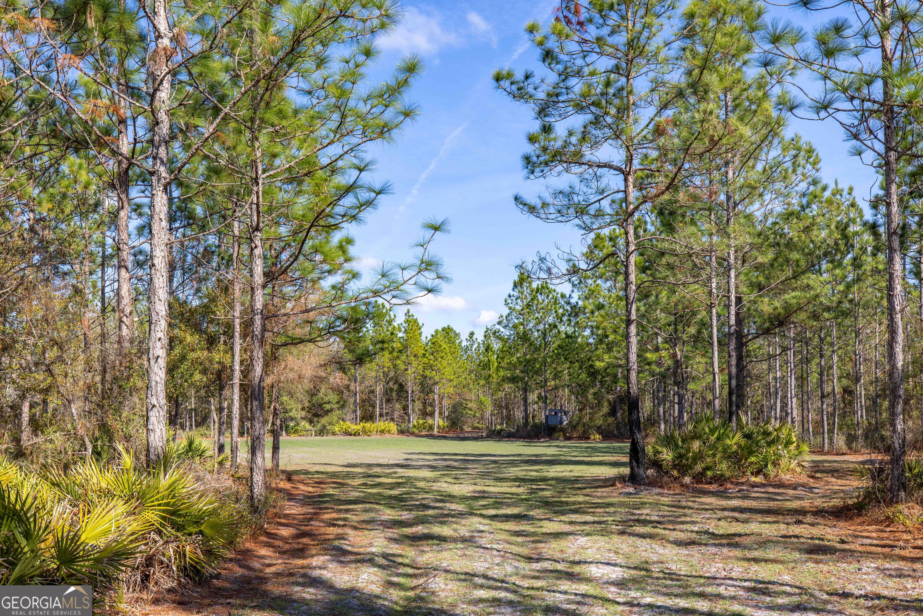 279 Mid River Road White Oak GA 31568