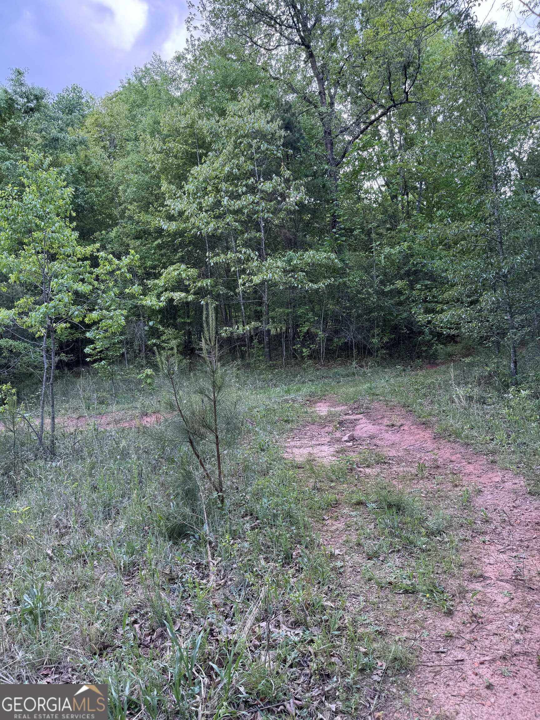 637 Brookdale Road Toccoa GA 30577