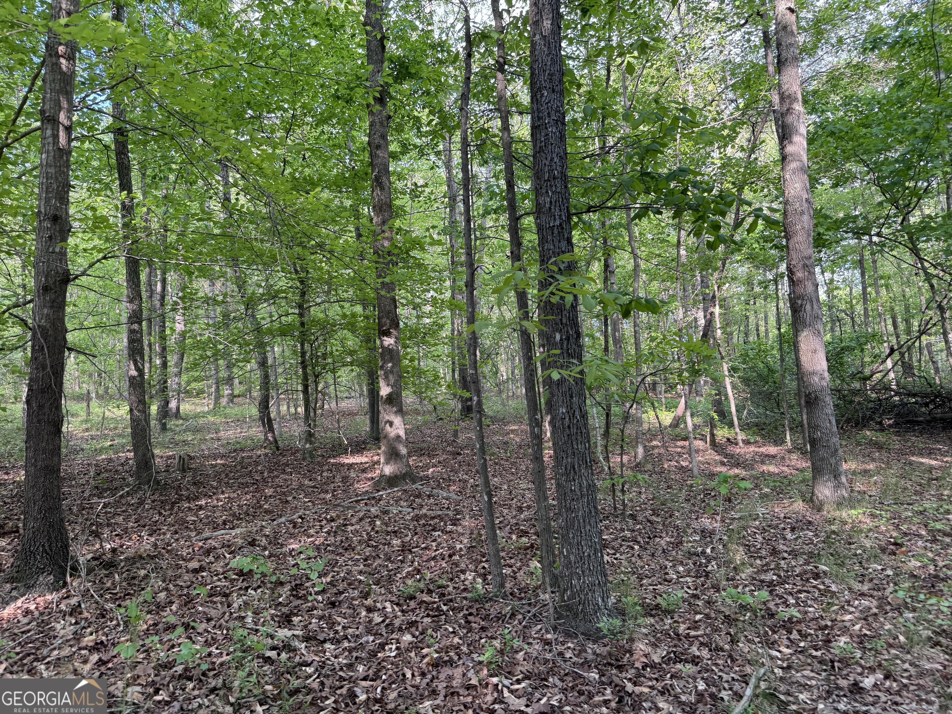 637 Brookdale Road Toccoa GA 30577