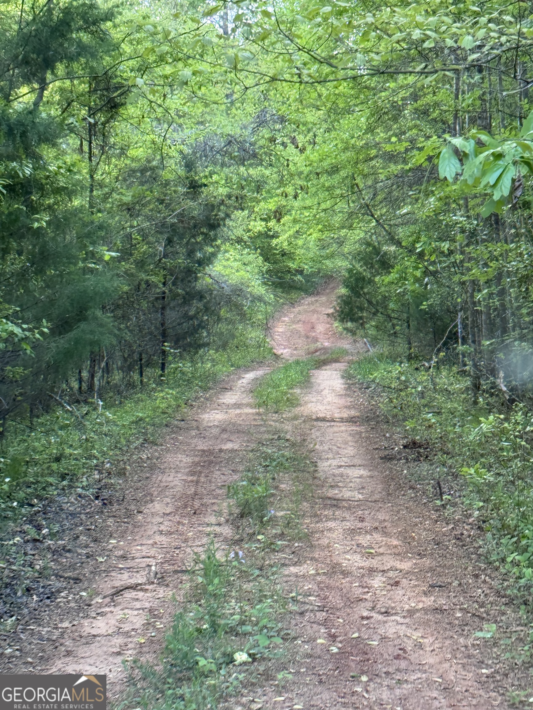 637 Brookdale Road Toccoa GA 30577