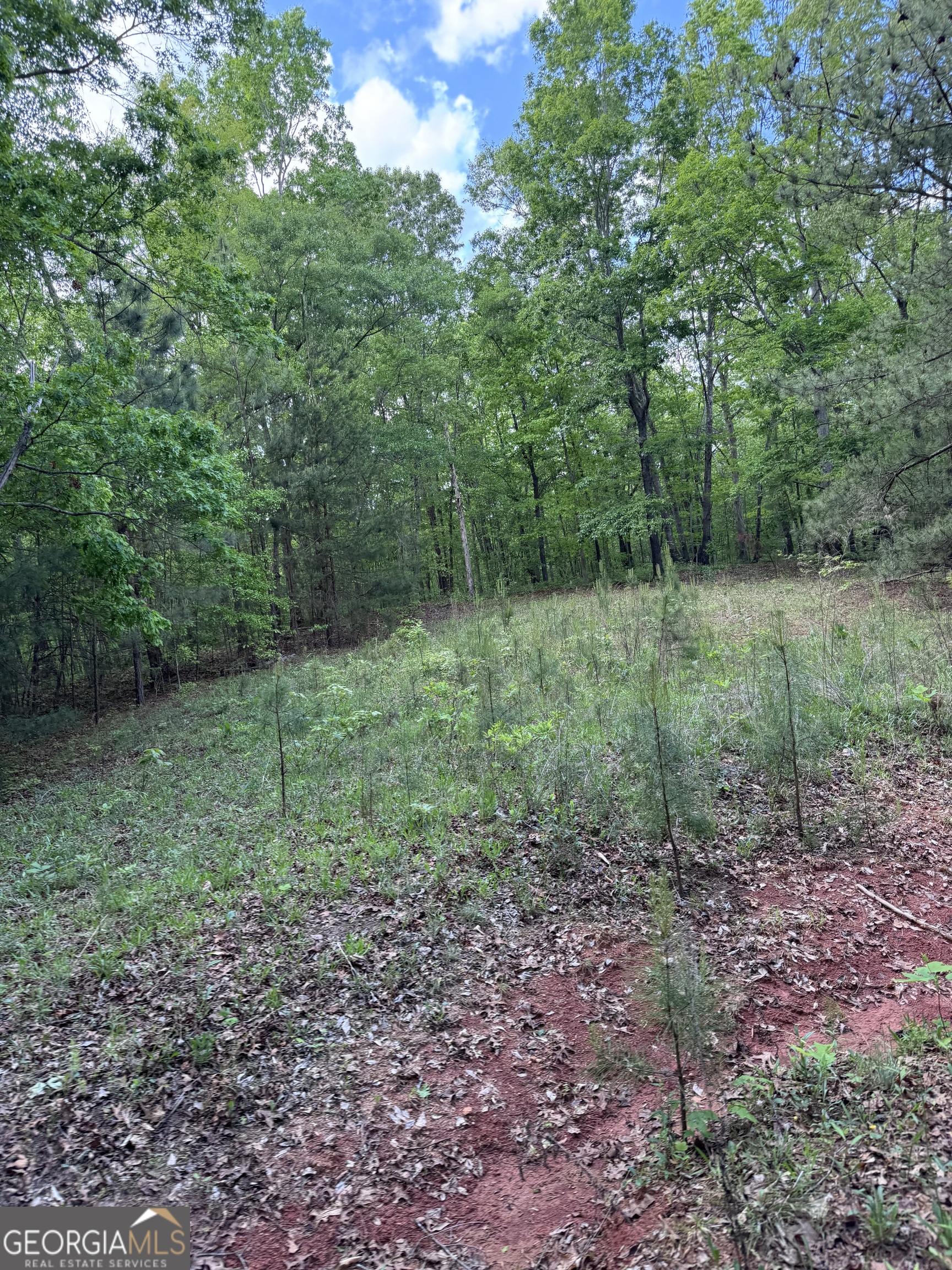 637 Brookdale Road Toccoa GA 30577