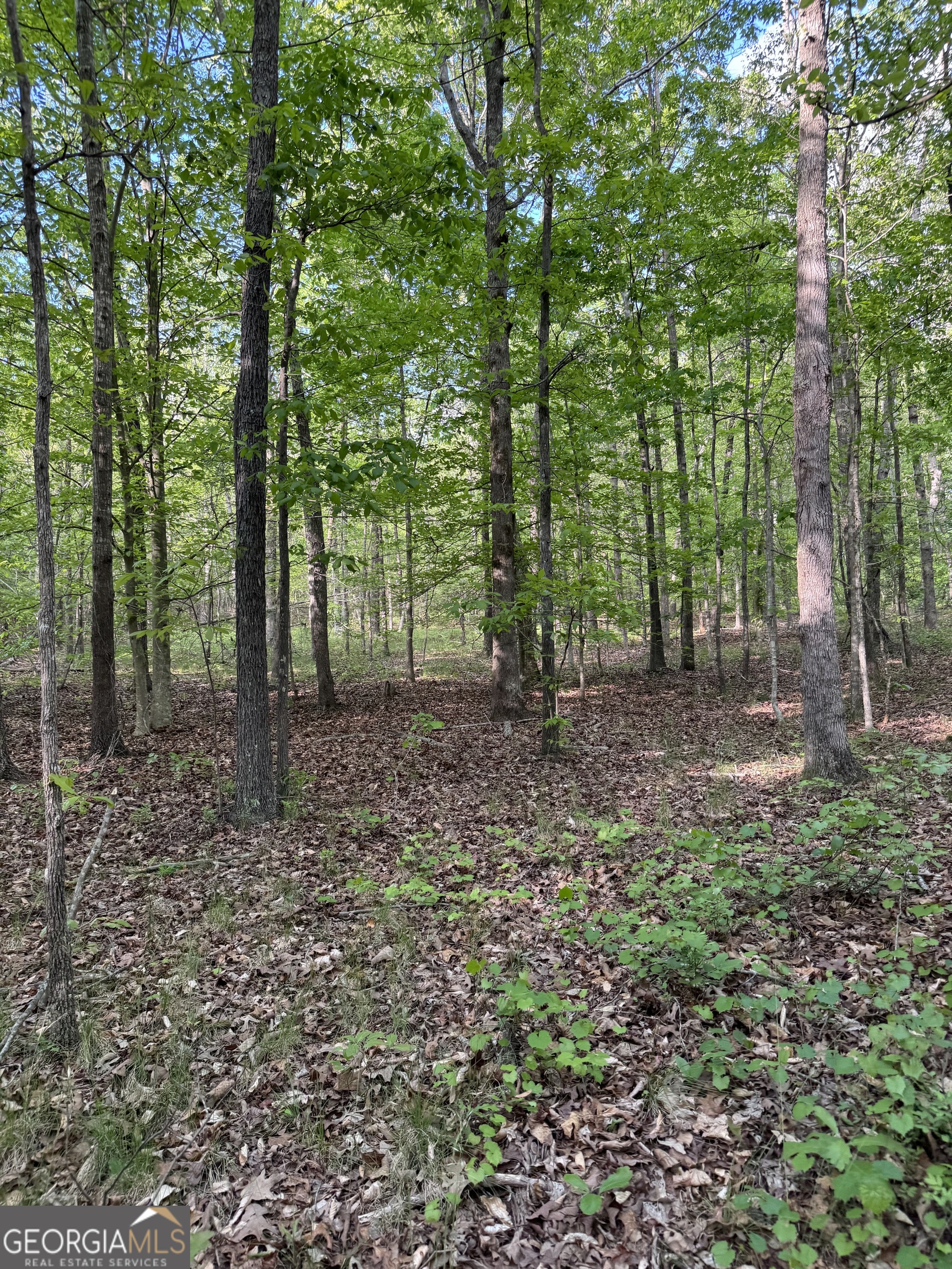 637 Brookdale Road Toccoa GA 30577