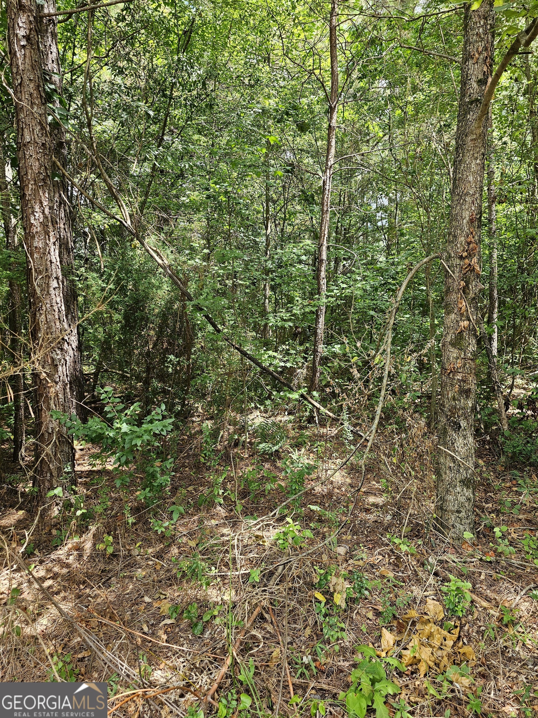 327 Jeffers Road Buchanan GA 30113
