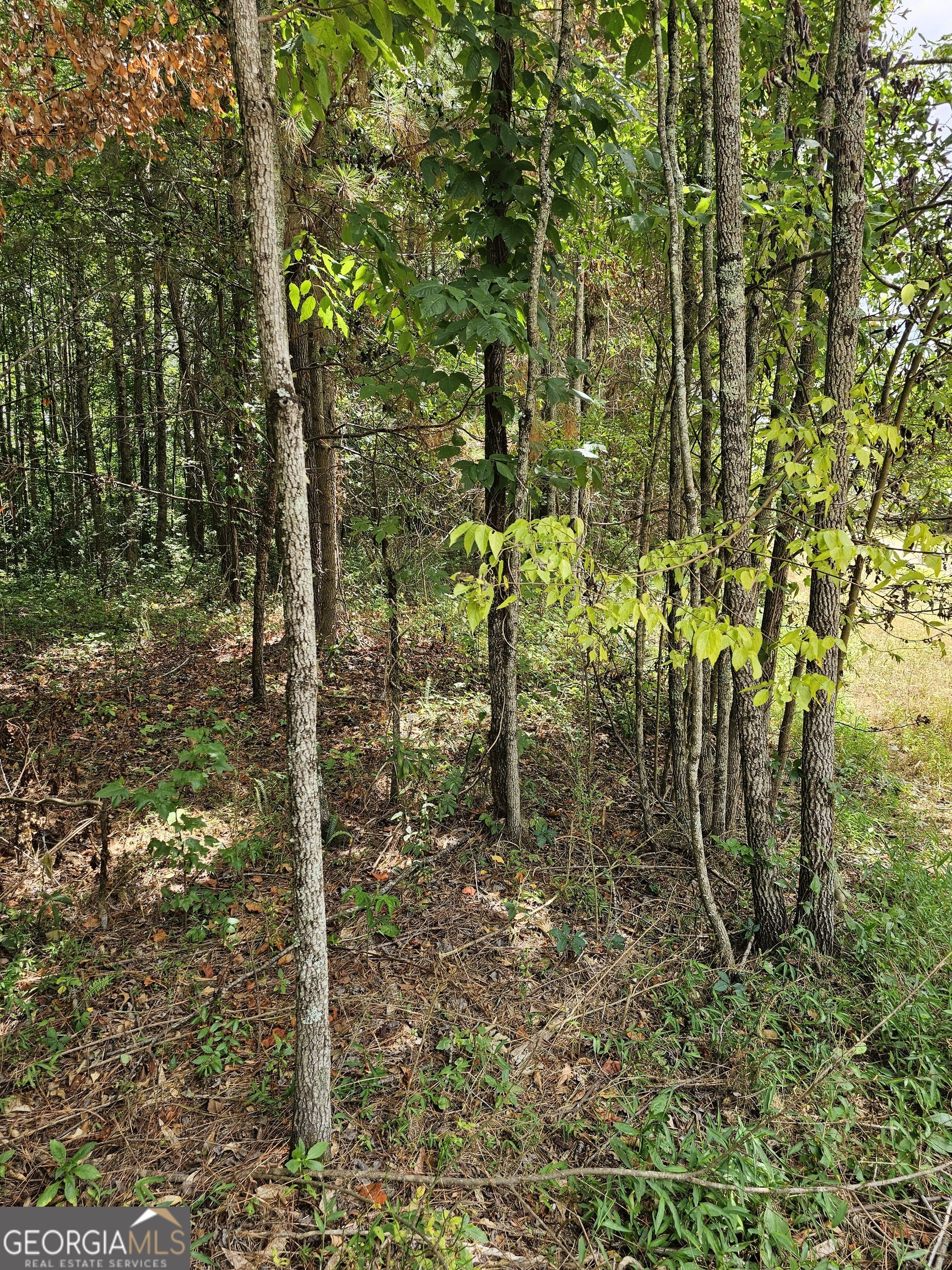327 Jeffers Road Buchanan GA 30113