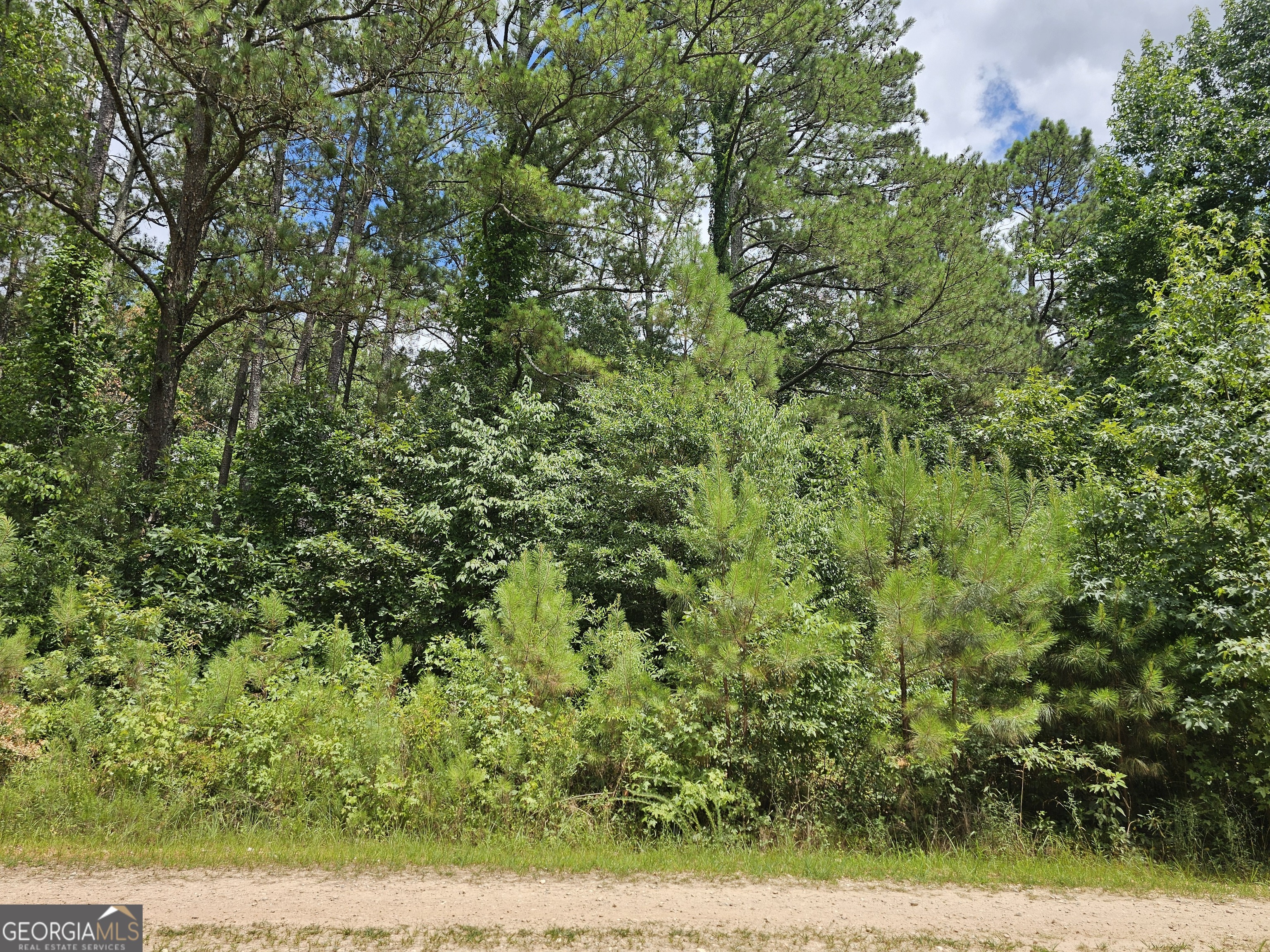327 Jeffers Road Buchanan GA 30113