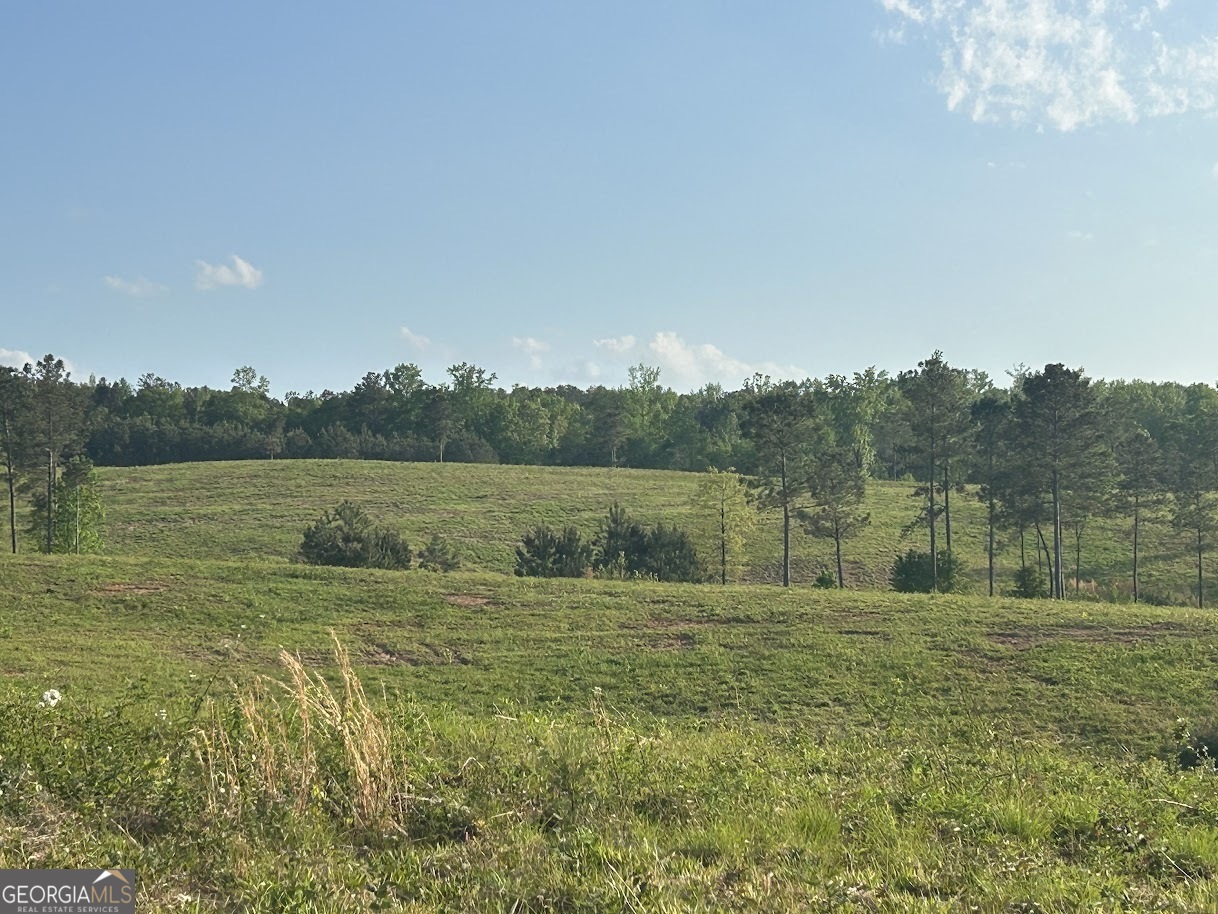 0 Needmore Road Roopville GA 30170
