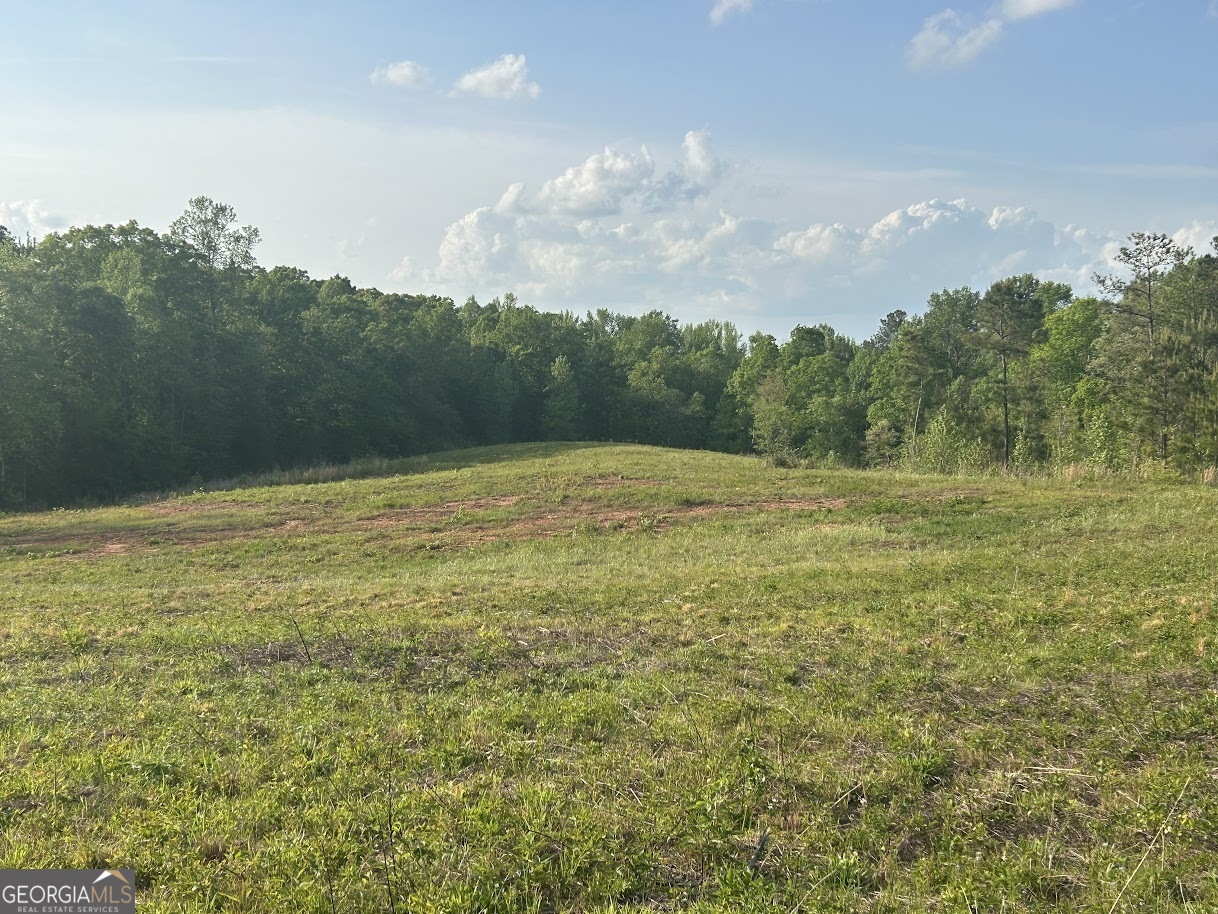 0 Needmore Road Roopville GA 30170