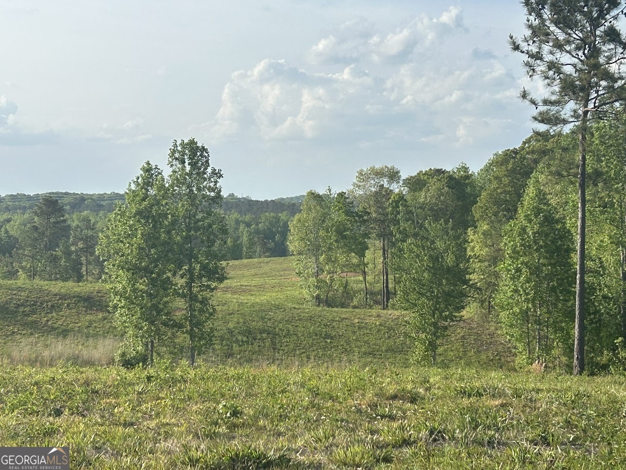 0 Needmore Road Roopville GA 30170