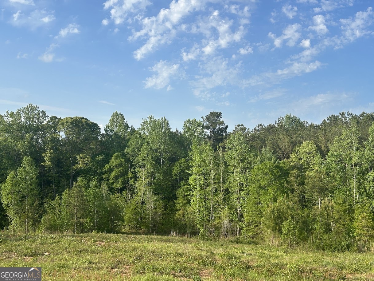 0 Needmore Road Roopville GA 30170
