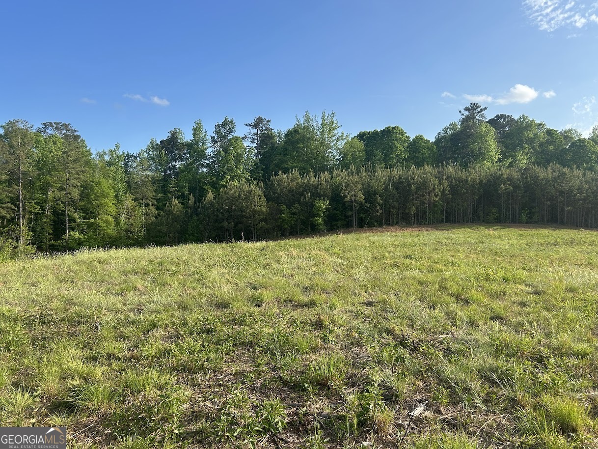 0 Needmore Road Roopville GA 30170