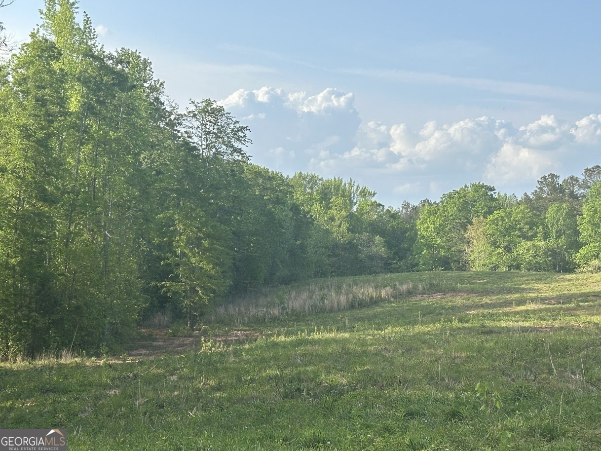 0 Needmore Road Roopville GA 30170