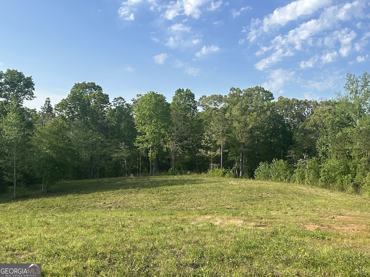 0 Needmore Road Roopville GA 30170