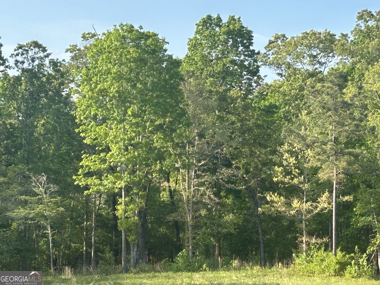 0 Needmore Road Roopville GA 30170