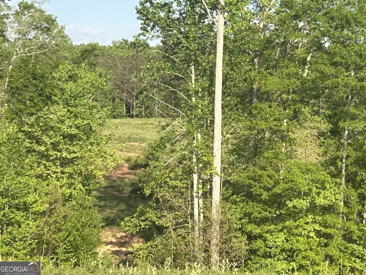 0 Needmore Road Roopville GA 30170