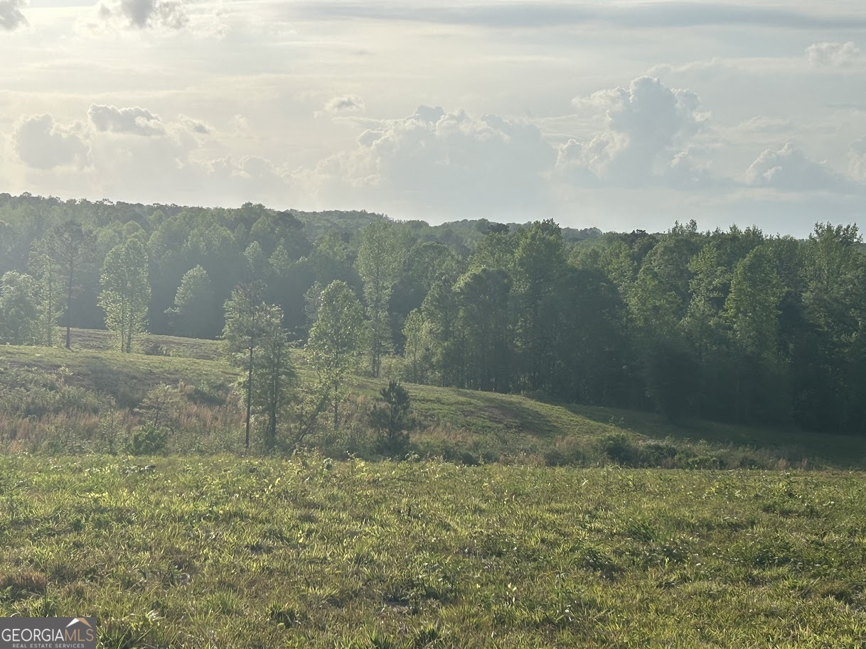 0 Needmore Road Roopville GA 30170