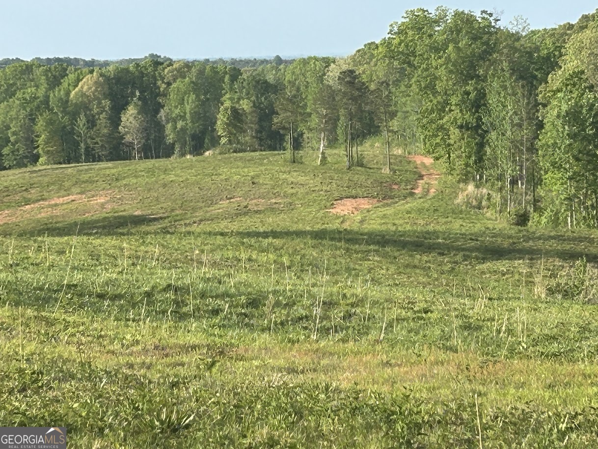 0 Needmore Road Roopville GA 30170