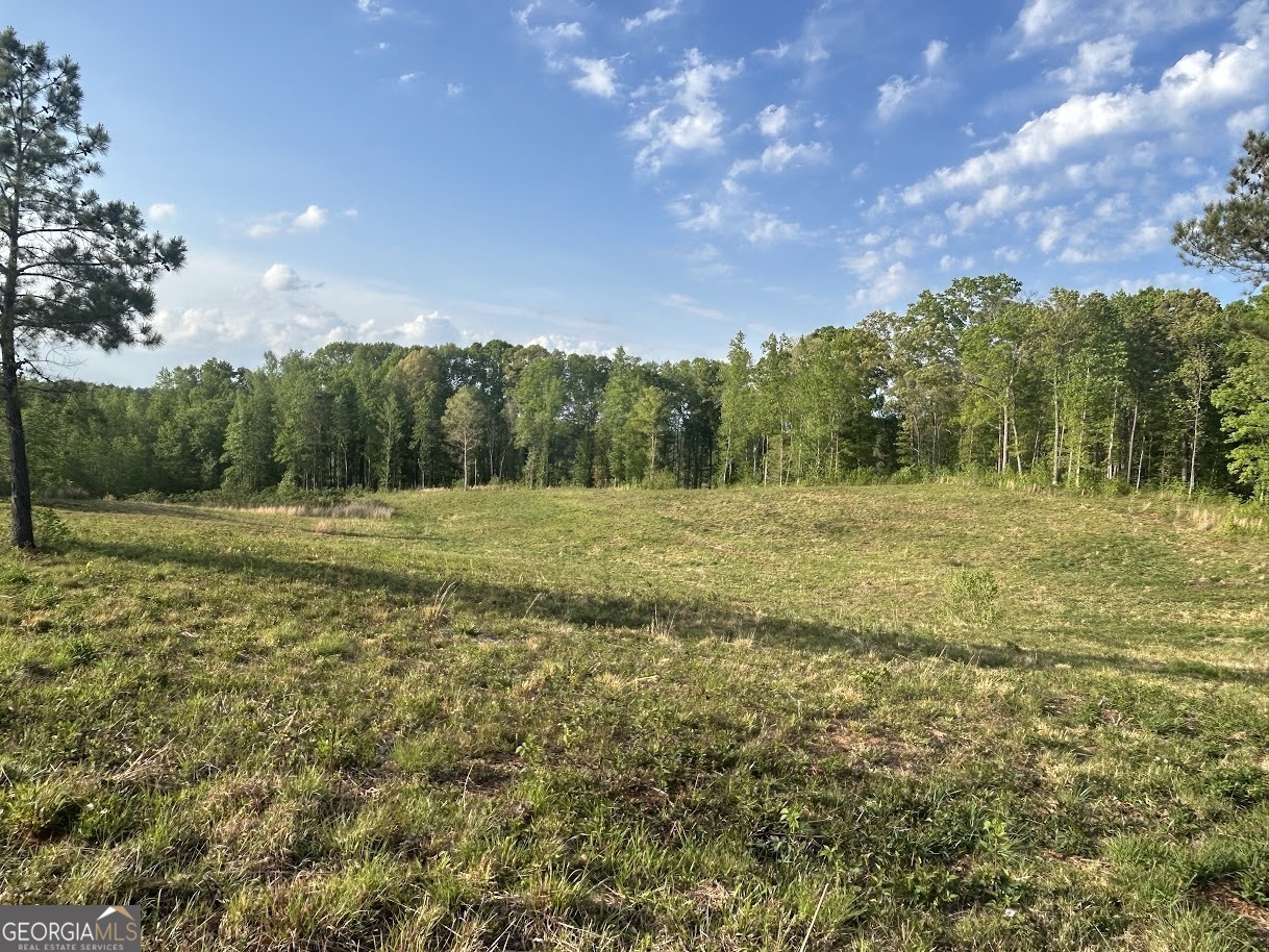 0 Needmore Road Roopville GA 30170
