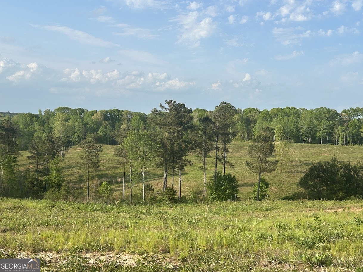 0 Needmore Road Roopville GA 30170