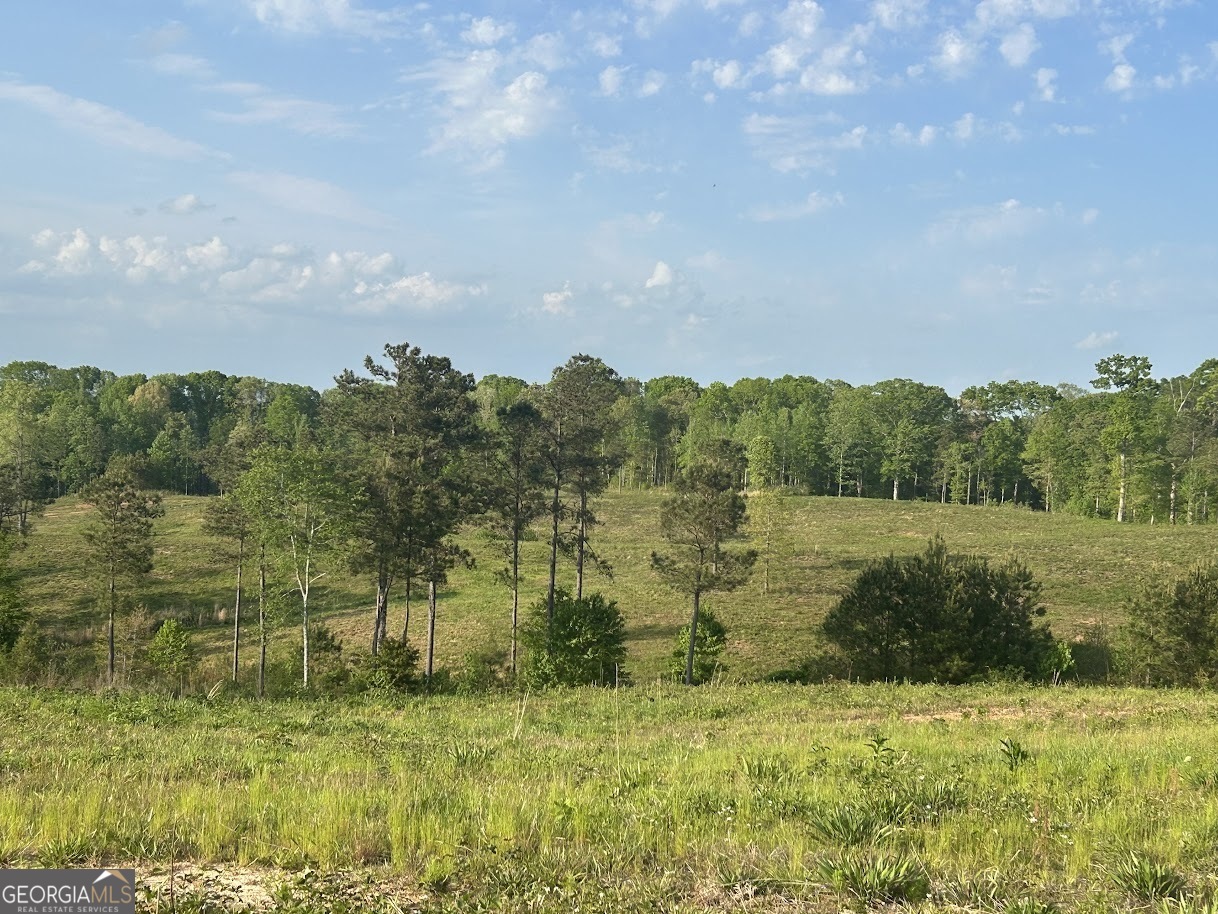 0 Needmore Road Roopville GA 30170