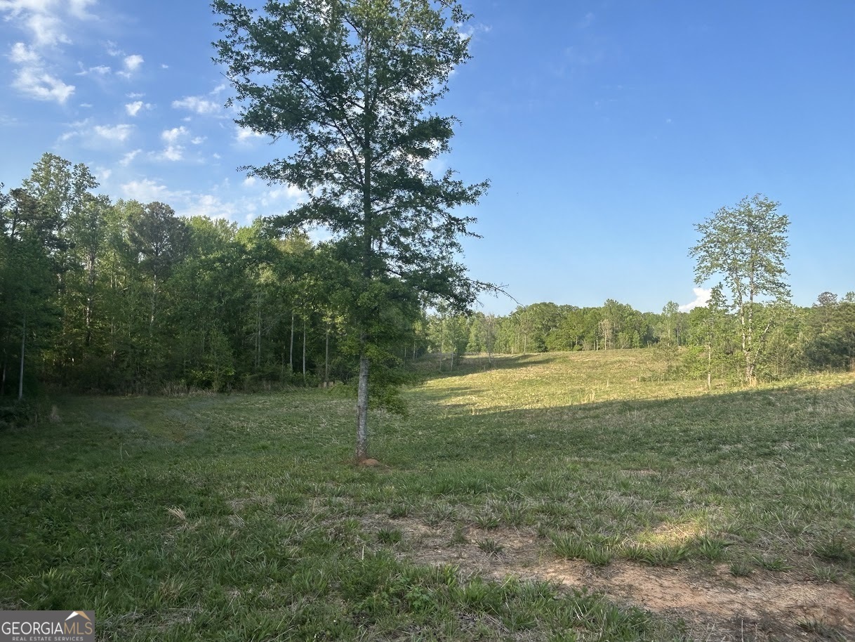 0 Needmore Road Roopville GA 30170